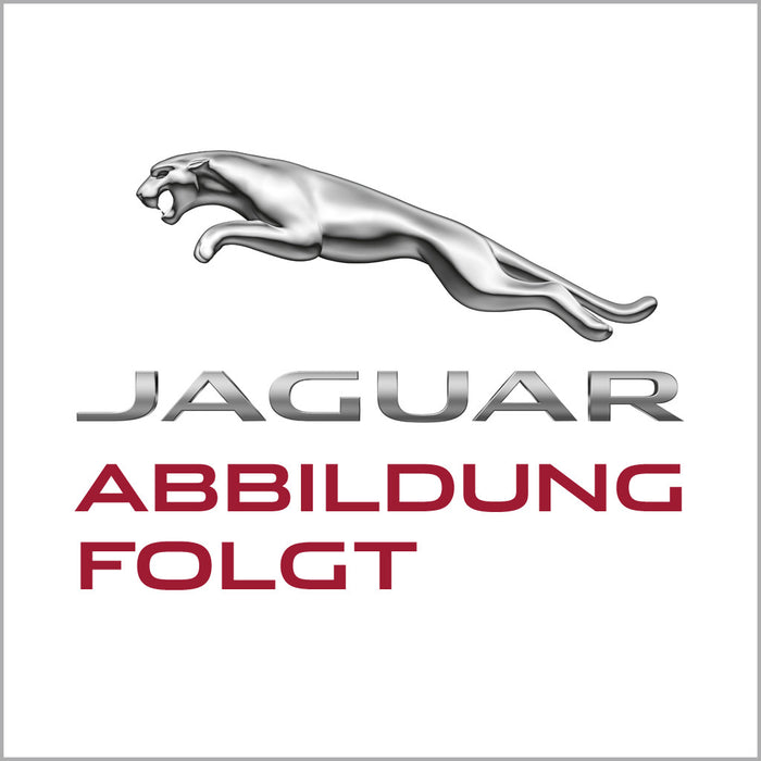 Jaguar service booklet