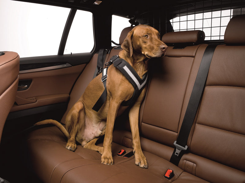 Subaru  Allsafe Comfort Hundegurt
