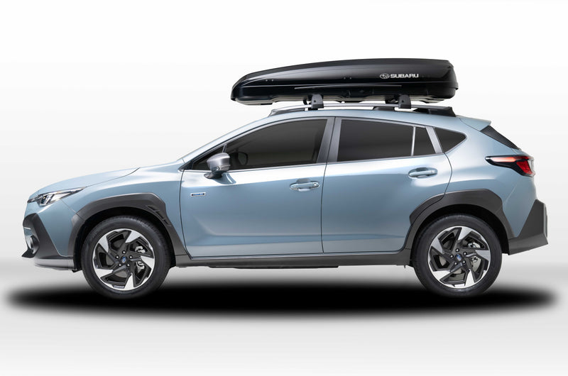 Subaru Dachbox kurz
