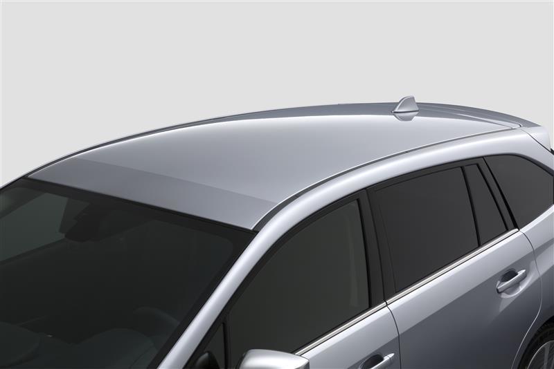 Subaru Levorg/WRX STI Steinschlagschutzfolie für Fahrzeugdach