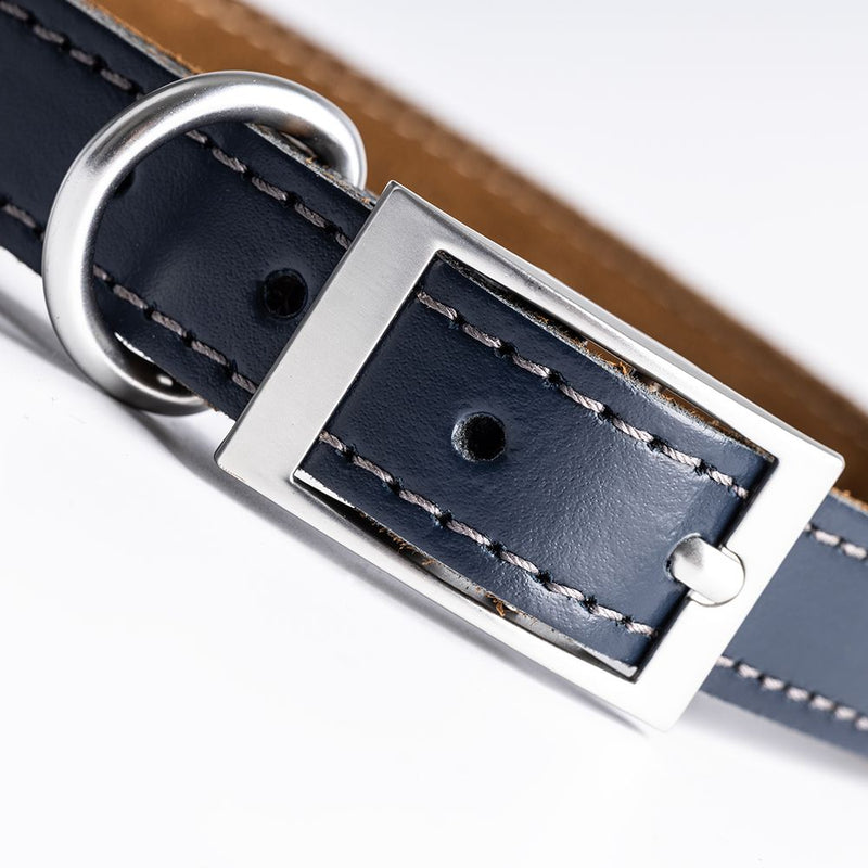 Discovery Leder-Hundehalsband