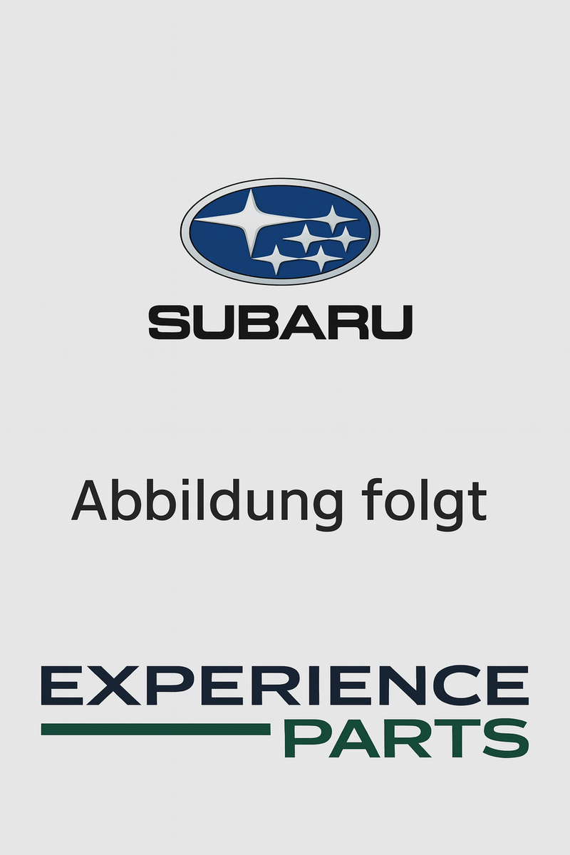 Subaru Brillenputztuch