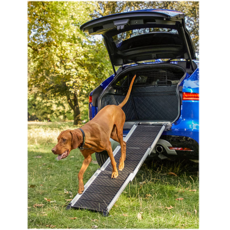 Jaguar Haustierrampe