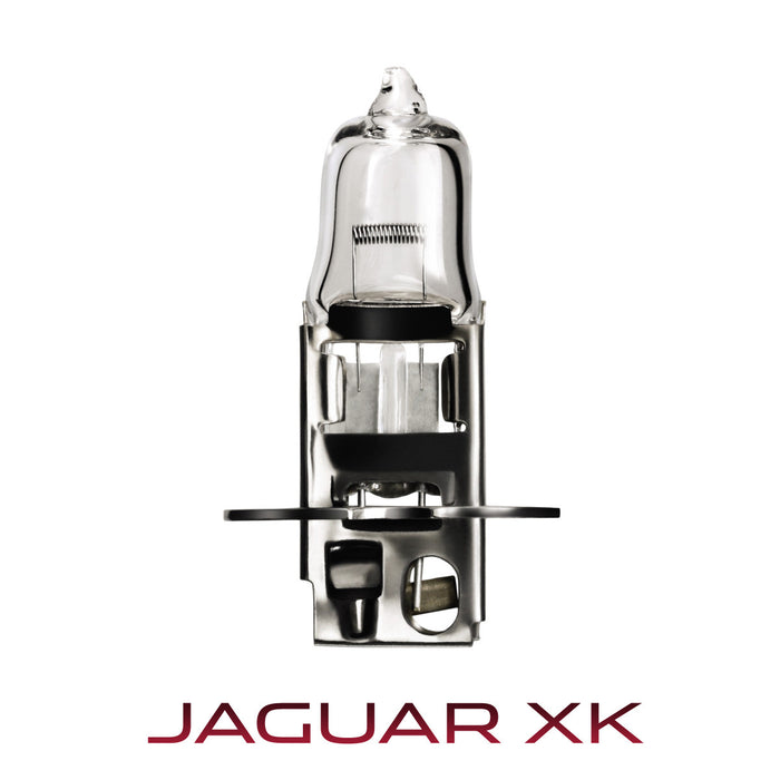 Lampenset - Jaguar XK