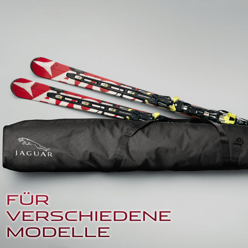 ski bag