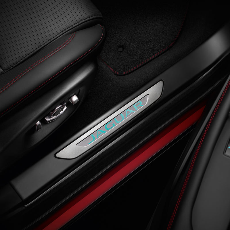 Einstiegsleisten - beleuchtet