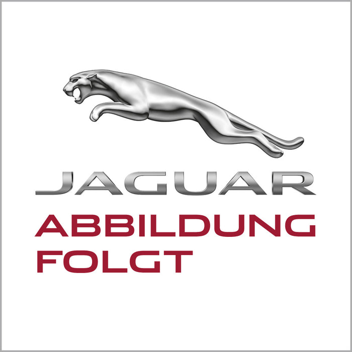 Dichtungssatz für Seitenscheibe - Jaguar E-Type