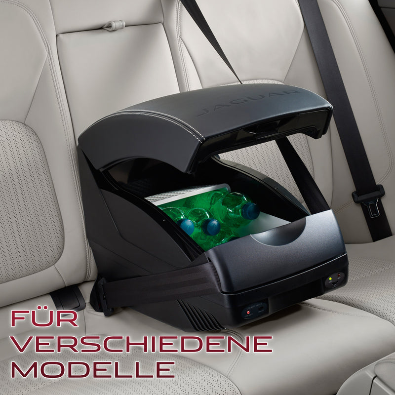 Jaguar center armrest with cooling/warming box