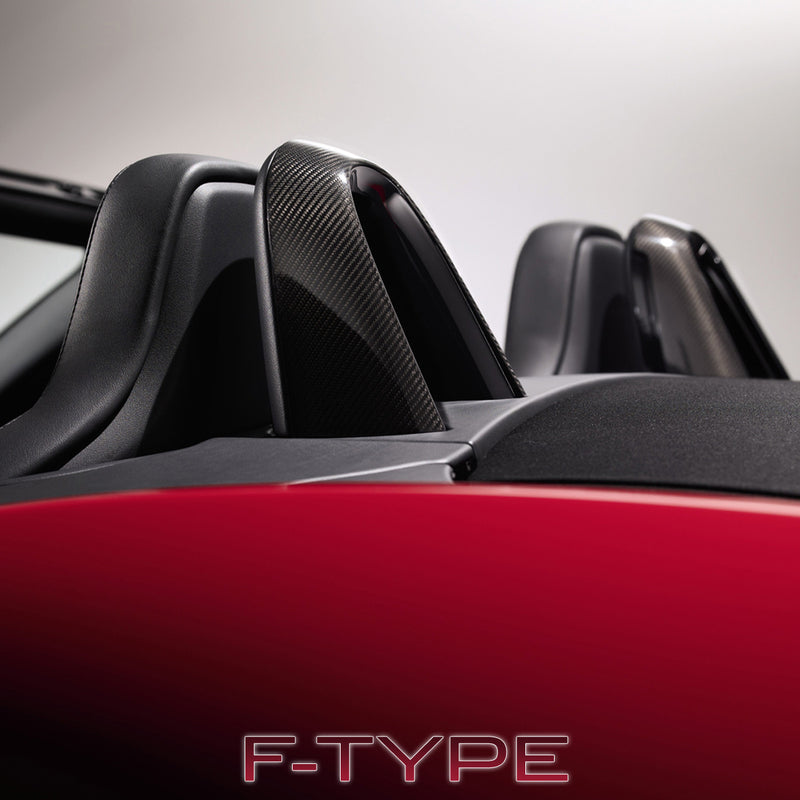 Überrollbügel in Carbon - F-Type
