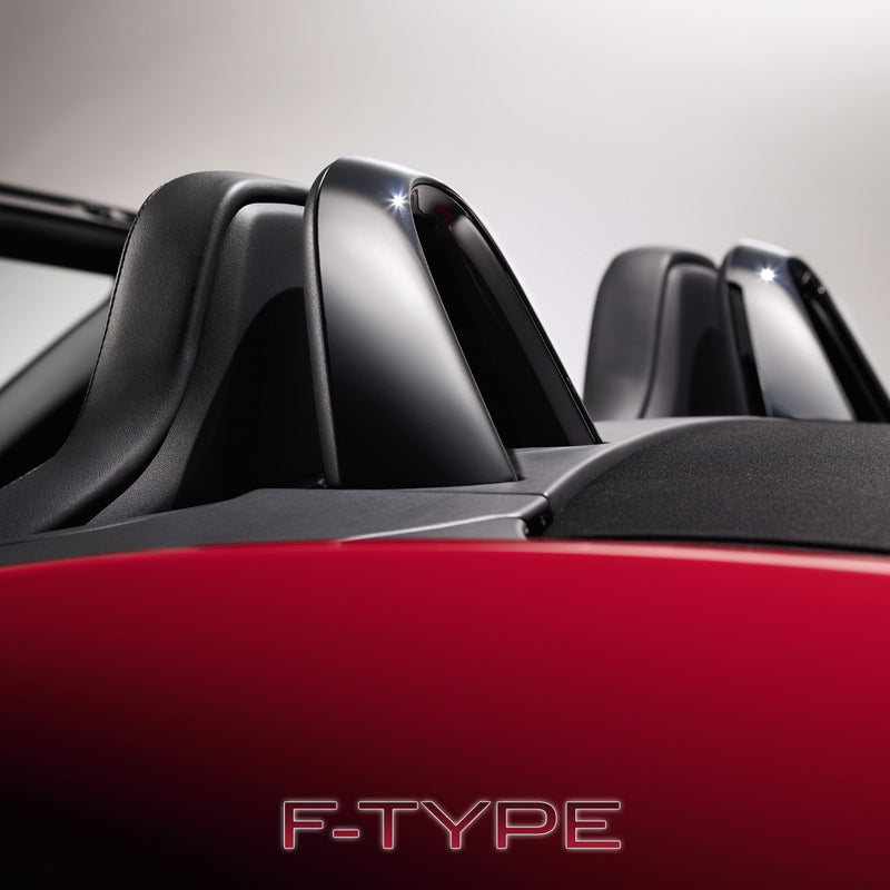 Überrollbügel in Chrom-Optik - F-Type